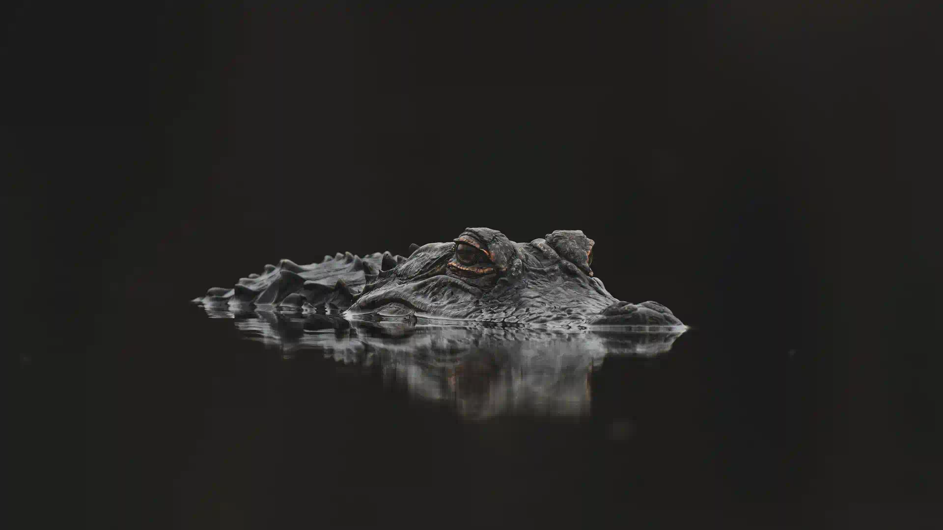 Pytorch环境配置